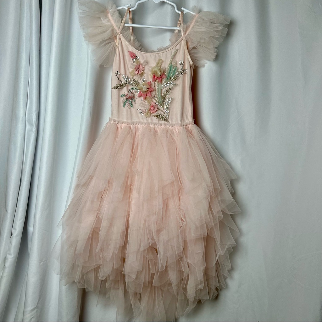 Tutu Du Monde Rosette Blush Tulle Dress Or Dance Costume